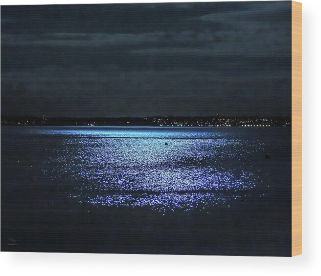 Moonlight Wood Print featuring the photograph Blue Velvet by Glenn Feron