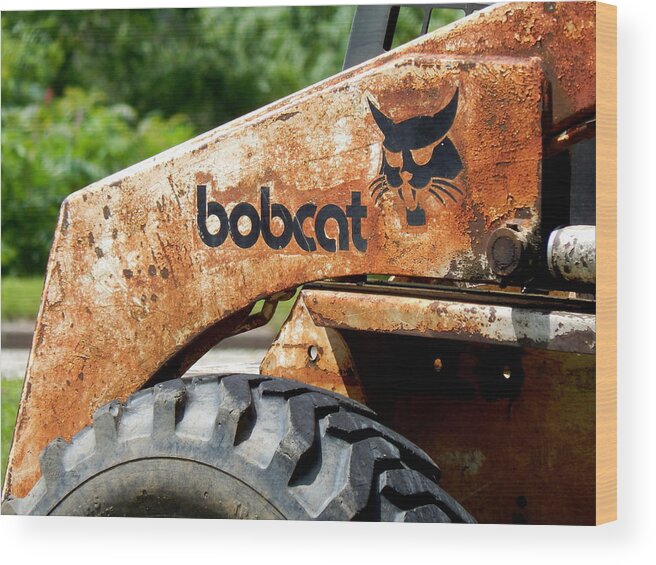 Bobcat Wood Print featuring the photograph REDUCED Bobcats Strut by Wild Thing