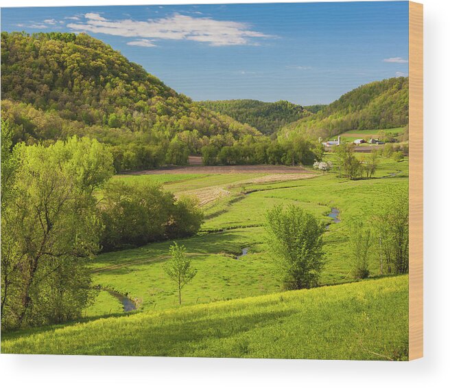 5dii Wood Print featuring the digital art Bohemian Valley by Mark Mille