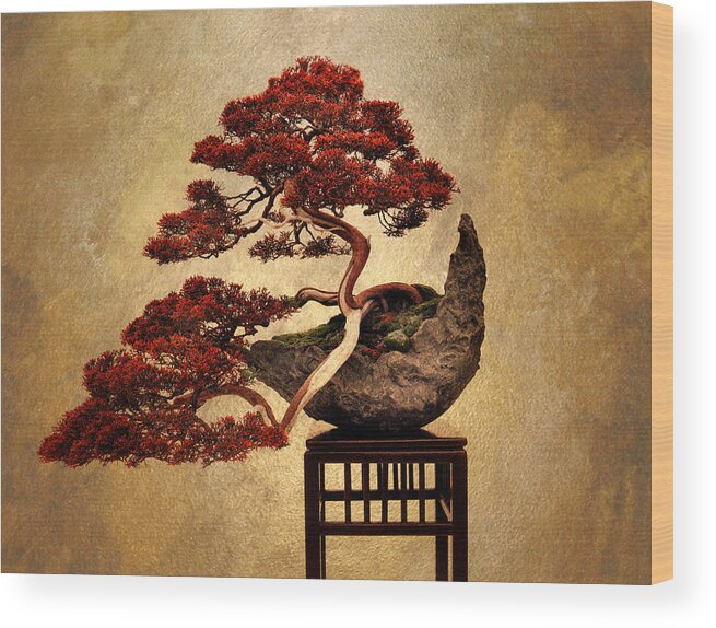 Asian Wood Print featuring the photograph Bonsai by Jessica Jenney