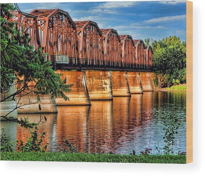 Bridge Wood Print featuring the photograph Brawny Crossing by Carol Randall