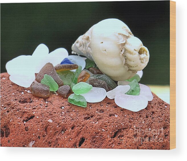 Brick Wood Print featuring the photograph Weathered Brick Glass and Shell by Janice Drew