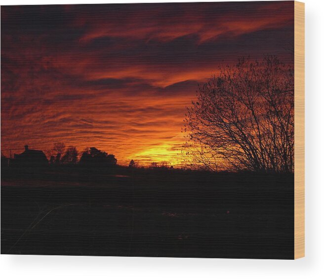 Landscape Wood Print featuring the photograph Bright Darkness by Traci Goebel