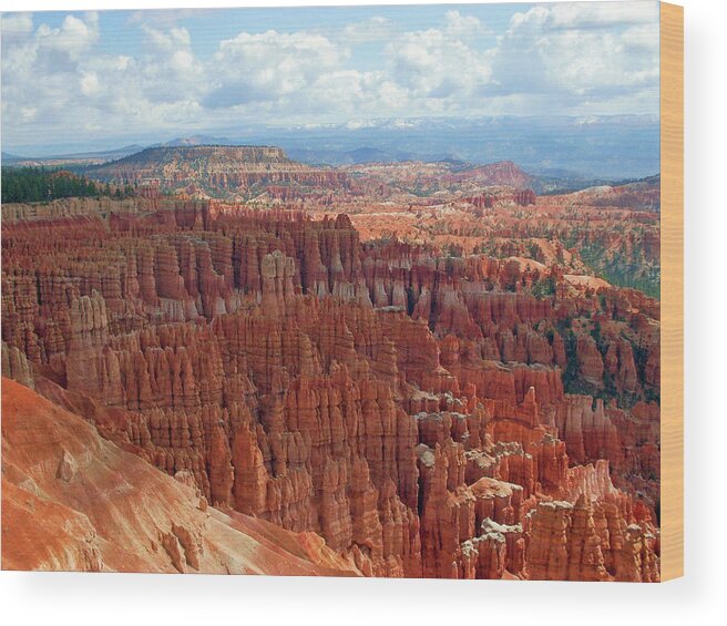 Bryce Wood Print featuring the photograph Bryce Canyon Utah by Martina Fagan