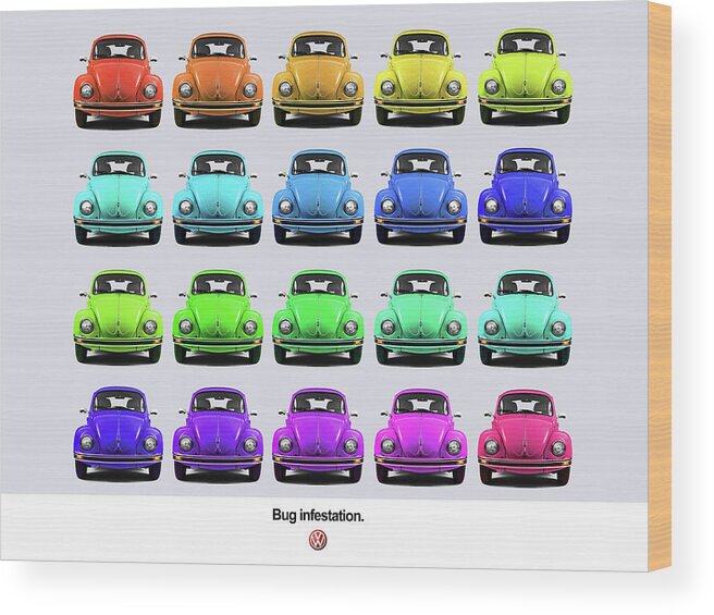 Volkswagen Beetle Wood Print featuring the photograph Bug infestation. by Mark Rogan