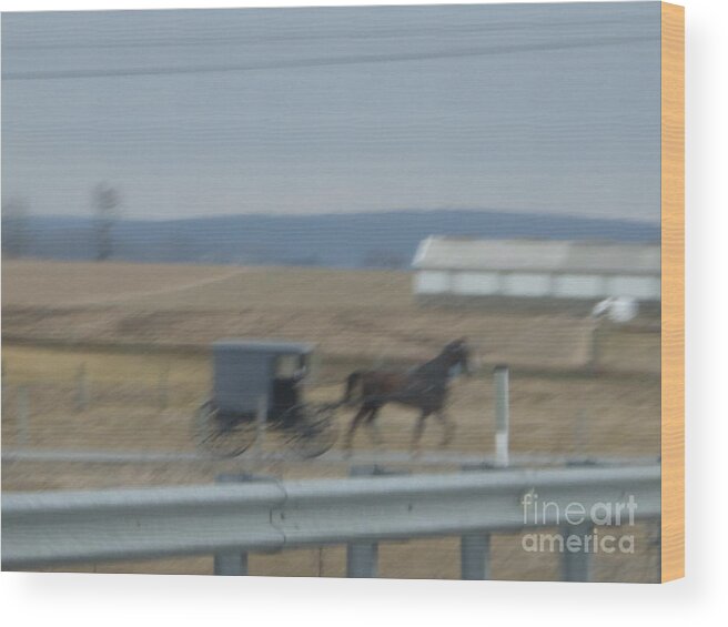 Amish Wood Print featuring the photograph Buggy Ride Three by Christine Clark