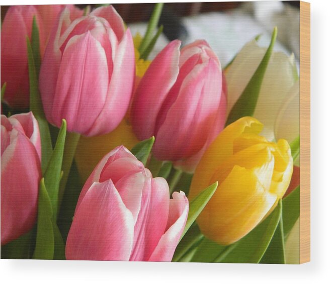 Tulip Wood Print featuring the photograph Buttercup Pinks by Karen Mesaros