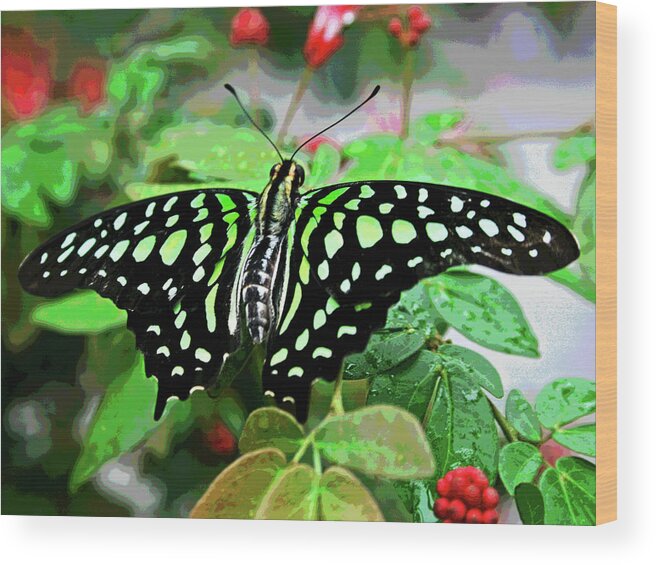 Larry Wood Print featuring the photograph Butterfly 3 by Larry Oskin