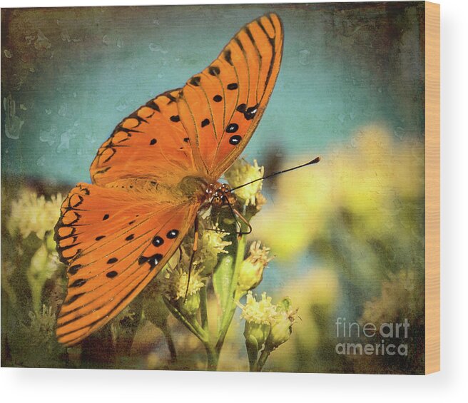 Butterfly Wood Print featuring the photograph Butterfly Enjoying the Nectar by Scott and Dixie Wiley