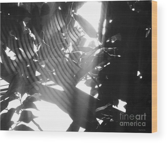 Cobwebs Wood Print featuring the photograph BW Radiance by Megan Dirsa-DuBois