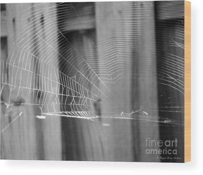 Cobwebs Wood Print featuring the photograph BW SpiderWeb by Megan Dirsa-DuBois