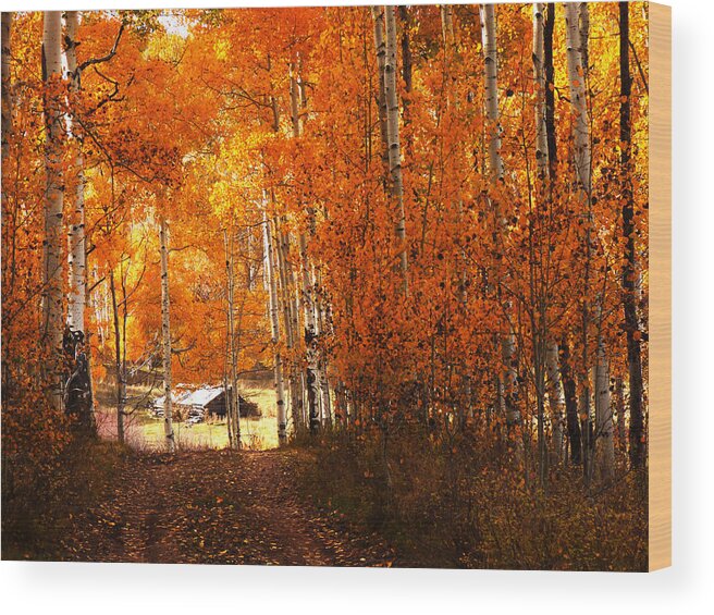 Zion Wood Print featuring the photograph Cabin Among the Aspen by Alan Socolik