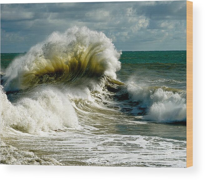 Shore Wood Print featuring the photograph Cabrillo Shorebreak by Michael Cinnamond