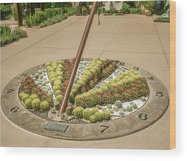Cactus Wood Print featuring the photograph Cactus sundial by Darrell Foster