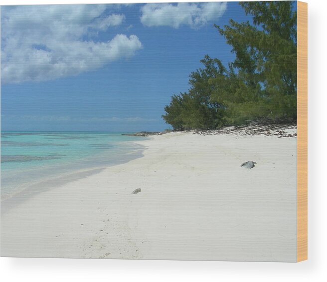 Beach Wood Print featuring the photograph Caicos by Jean Wolfrum