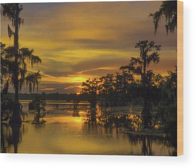 Orcinus Fotograffy Wood Print featuring the photograph Cajun Gold #1 by Kimo Fernandez