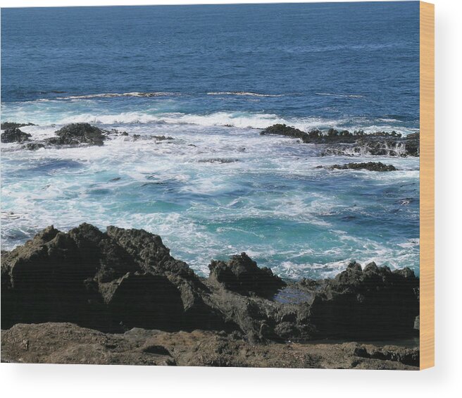 California Coast Wood Print featuring the photograph California Coast by Sandy Taylor