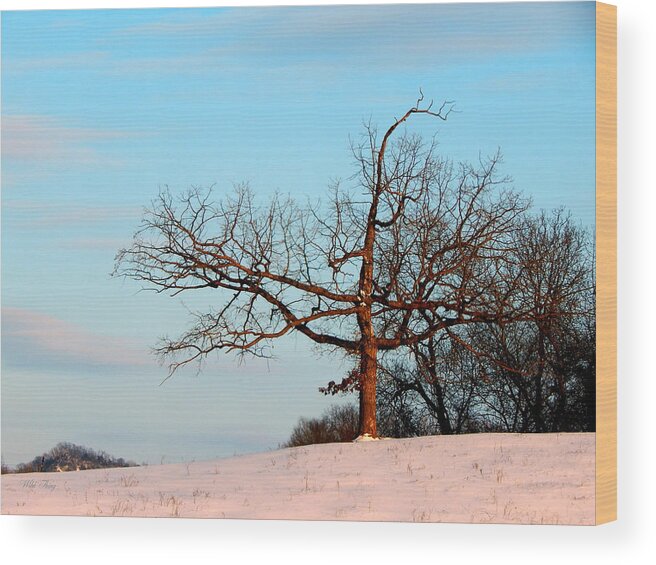 Winter Wood Print featuring the photograph Calming Moments by Wild Thing
