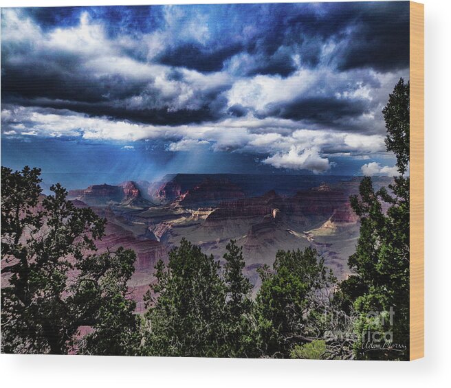 Landscape Wood Print featuring the photograph Canyon Rains by Adam Morsa