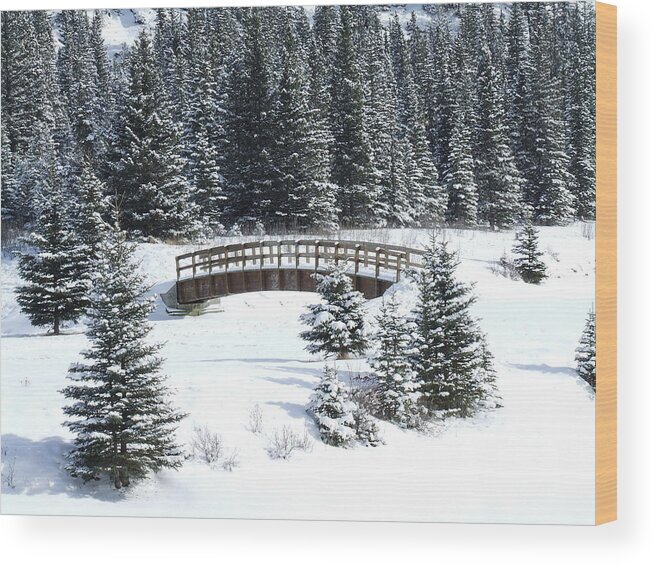 Winter Wood Print featuring the photograph Cascade Christmas by Tiffany Vest