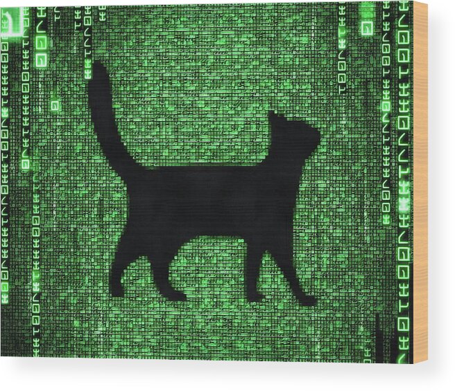 Cat Wood Print featuring the digital art Cat in the Matrix black and green by Matthias Hauser