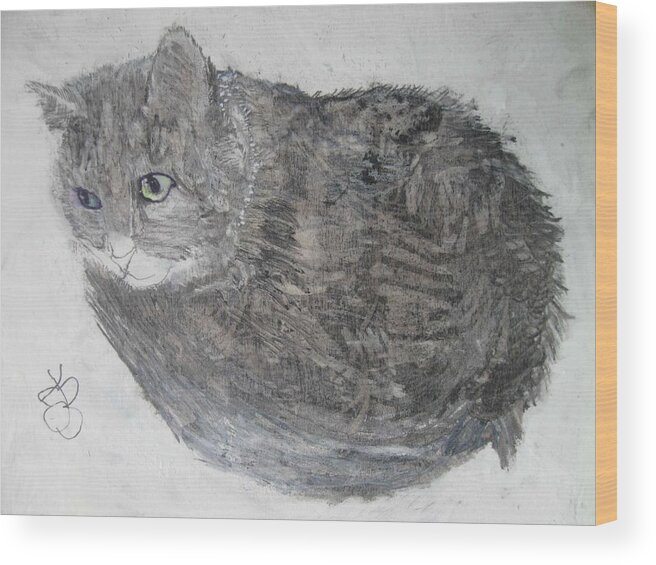 Cat Wood Print featuring the mixed media Cat named Shrimp by AJ Brown