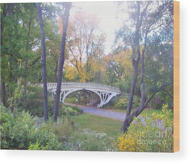 Central Park Wood Print featuring the photograph Central Park in Autumn at Gothic Bridge by Carol Riddle