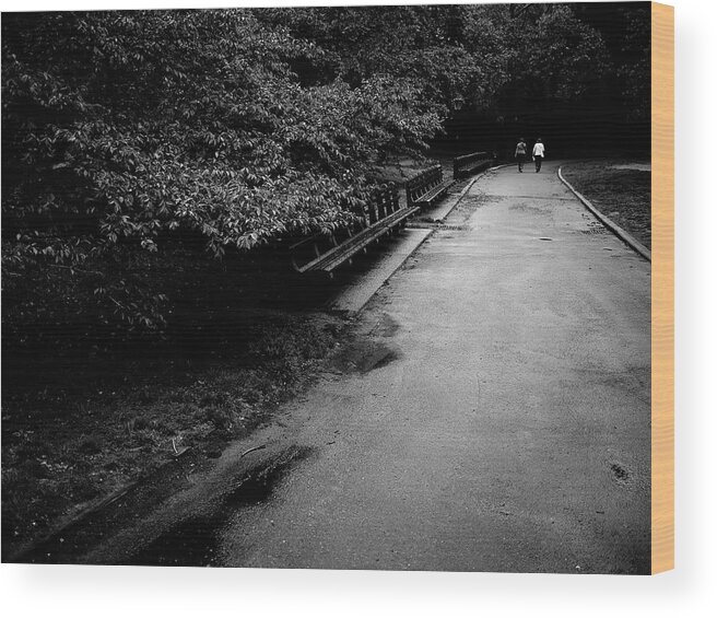 Central Park Wood Print featuring the photograph Central Park Path 6 by M G Whittingham