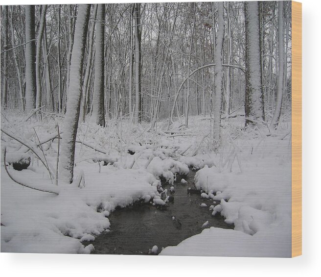Winter Wood Print featuring the photograph Chilly Creek by Dylan Punke