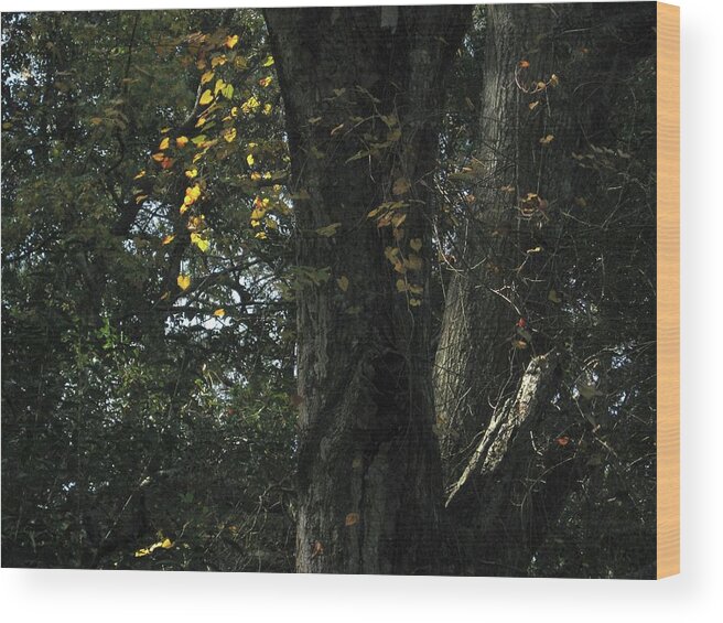 Forest Wood Print featuring the photograph Church of the Woods by Judith Lauter