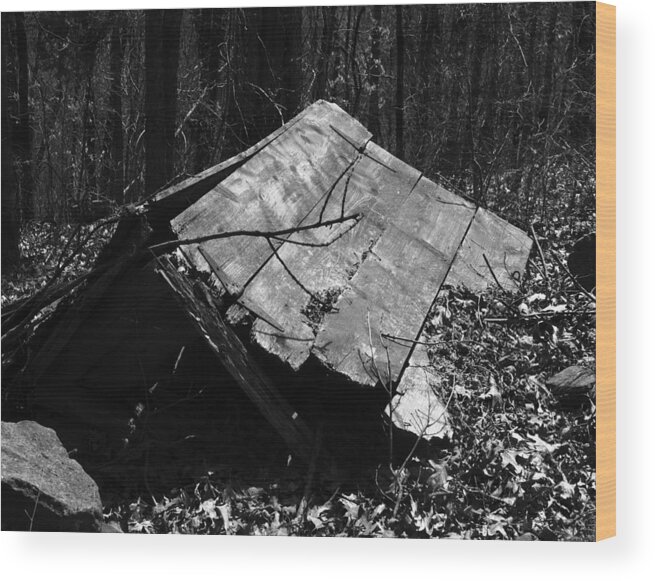 Ansel Adams Wood Print featuring the photograph Cindy Outhouse by Curtis J Neeley Jr