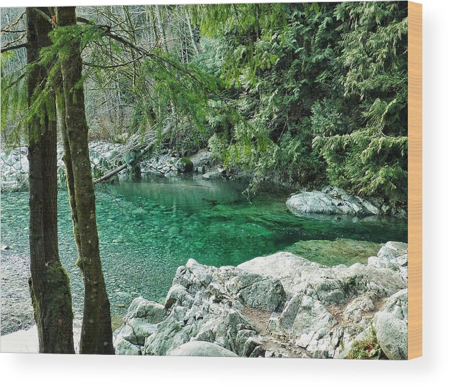 Connie Handscomb Wood Print featuring the photograph Clear Water Sanctuary by Connie Handscomb