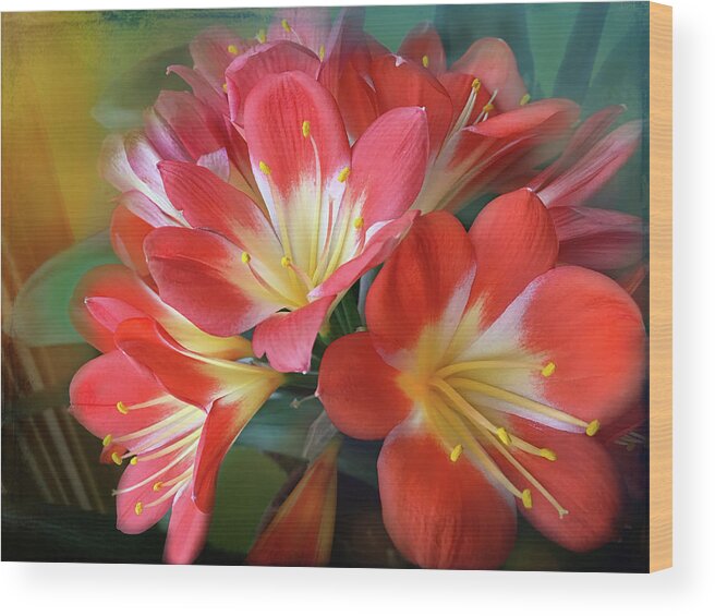 Clivia Wood Print featuring the photograph Clivia by Lorraine Baum