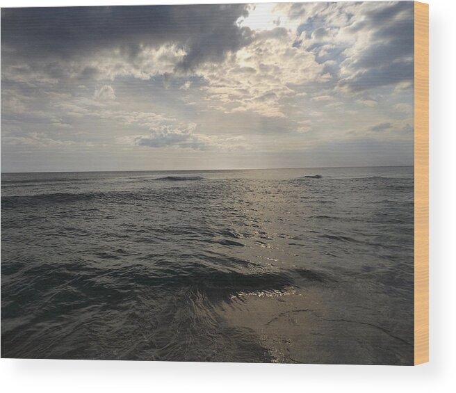 Panama City Beach Wood Print featuring the photograph Cloudy Day PCB by Julie Pappas