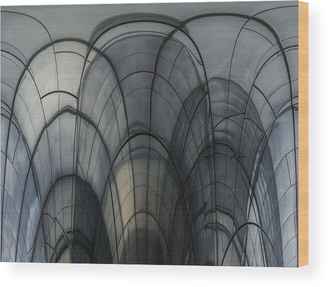 Abstract Wood Print featuring the photograph Cobweb Cathedral by Luc Vangindertael