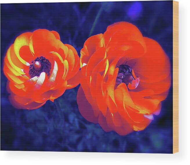 Flowers Wood Print featuring the photograph Color 12 by Pamela Cooper