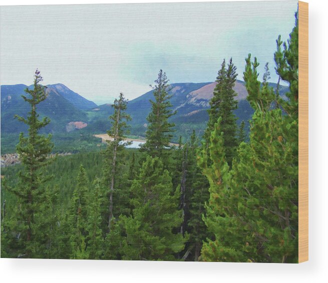 Home Decor Wood Print featuring the painting Colorado Springs area Digital Oil #81 by Flees Photos