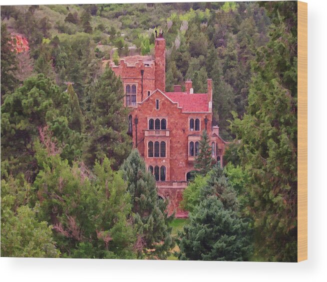  Wood Print featuring the painting Colorado Springs area Digital Oil #94 by Flees Photos