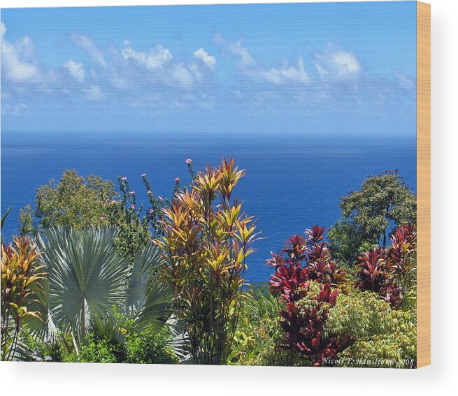 Sea Wood Print featuring the photograph Colorful Coast by Nicole I Hamilton