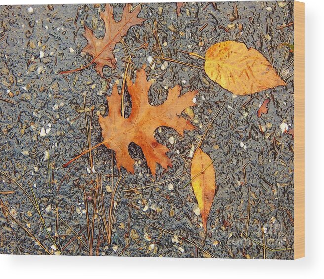 Leaves Wood Print featuring the photograph Colors of Autumn in Montreal by Reb Frost