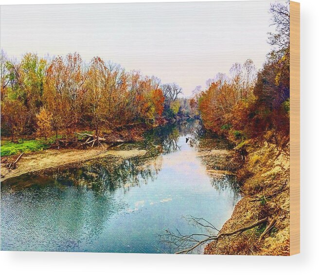 Fall Wood Print featuring the photograph Colours along Mill Creek by Michael Oceanofwisdom Bidwell