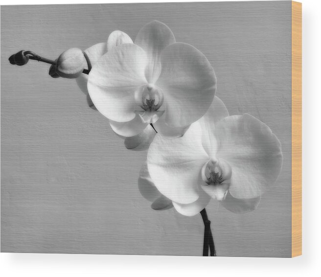 White Orchid Wood Print featuring the photograph Commitment by Wim Lanclus