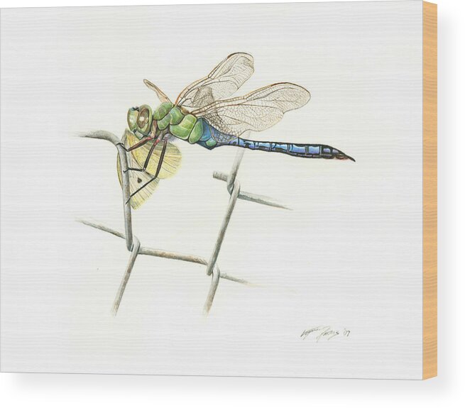 Dragonfly Wood Print featuring the painting Common Green Darner by Logan Parsons