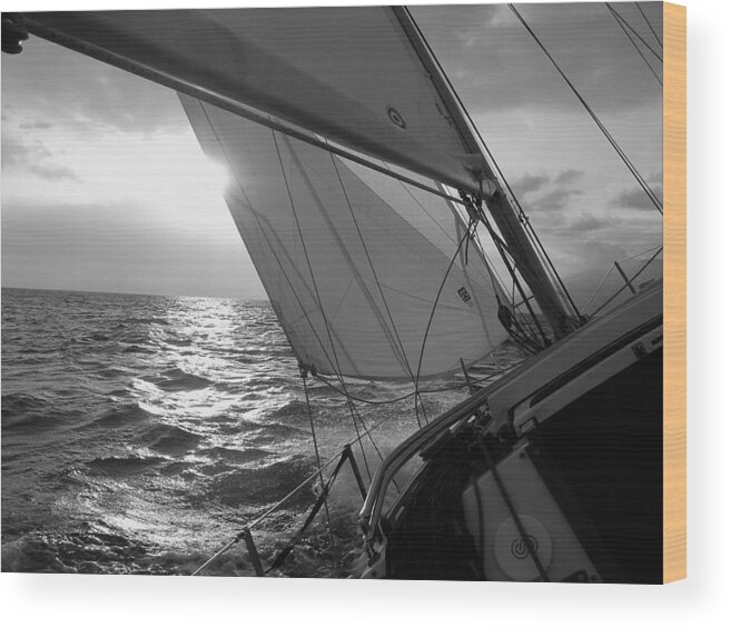 Coquette Sailing Maui Sunset Sails Sailboat Custin Ryan Black And White Water Ocean Spray Yacht Wood Print featuring the photograph Coquette Sailing by Dustin K Ryan