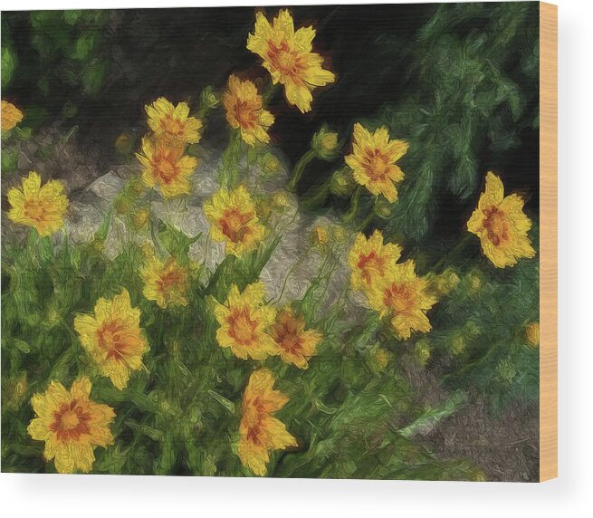 Garden Perennial Wood Print featuring the digital art Coreopsis Tickseed by Leslie Montgomery