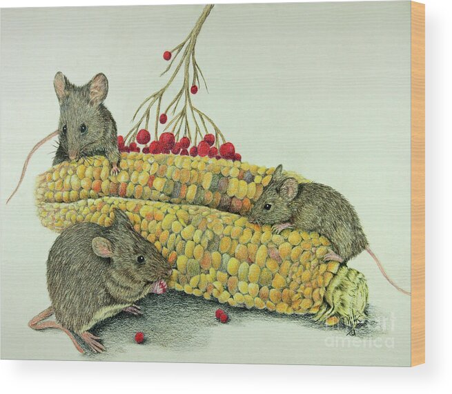 Colored Wood Print featuring the drawing Corn Meal by Terri Mills