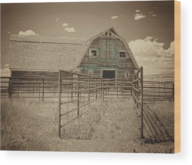 55 Ranch Wood Print featuring the photograph Custom CHiser 55 Ranch by Amanda Smith