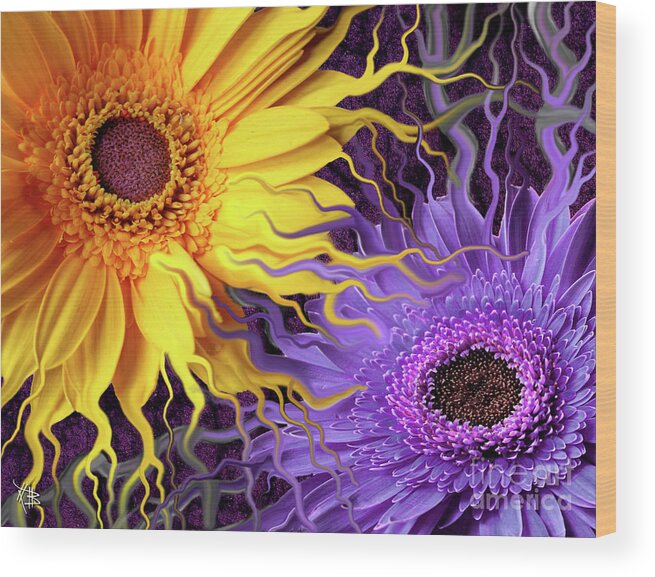 Flowers Wood Print featuring the painting Daisy Yin Daisy Yang by Christopher Beikmann