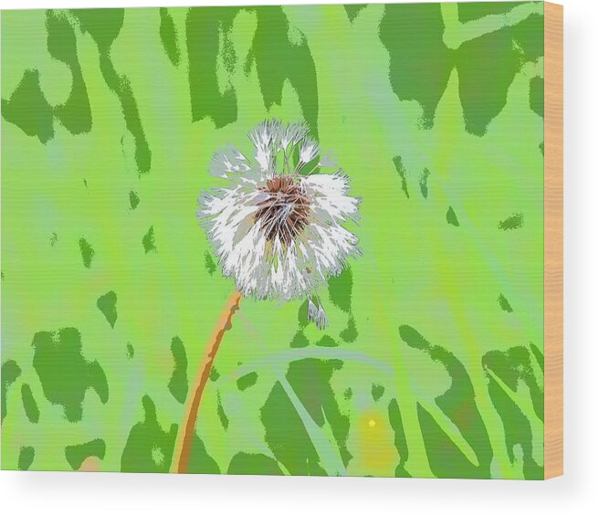 Flowers Wood Print featuring the photograph Dandelion on Green by Mark Egerton
