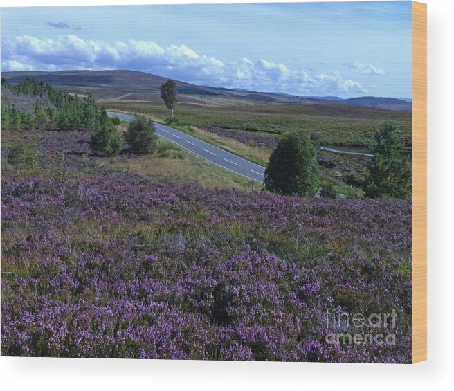 Dava Moor Wood Print featuring the photograph Dava Moor, Moray, Scotland by Phil Banks